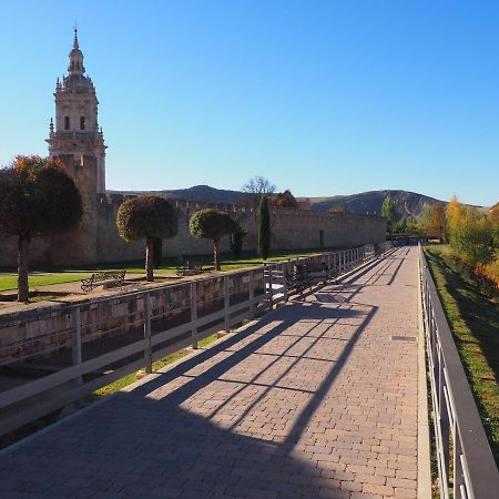 Апартаменты La Casona Del Zoilo -La Rasa- Бурго-де-Осма Экстерьер фото