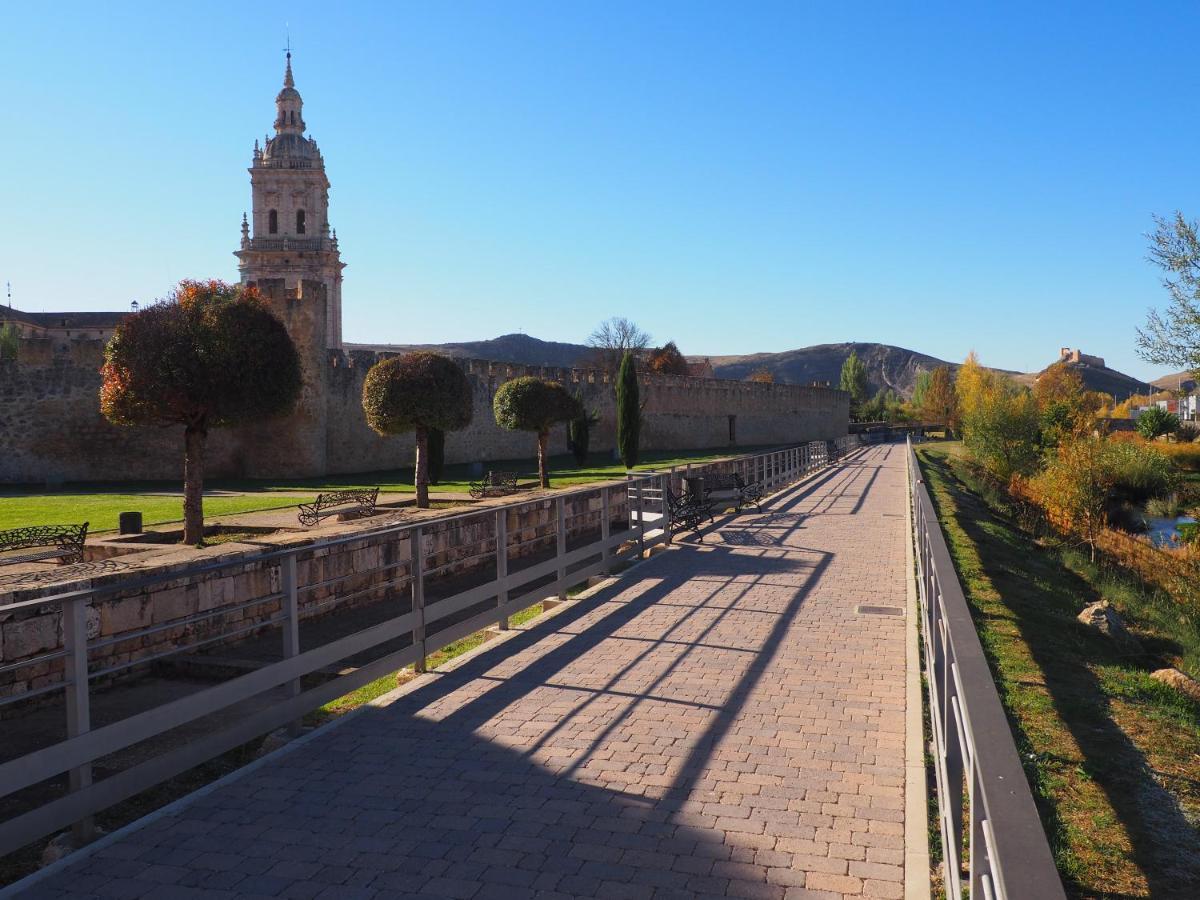 Апартаменты La Casona Del Zoilo -La Rasa- Бурго-де-Осма Экстерьер фото